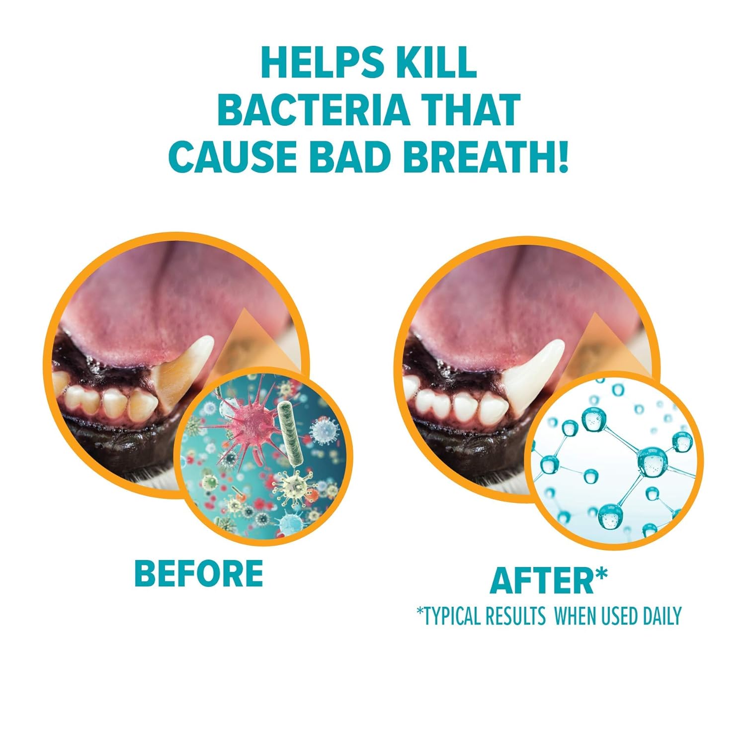 Arm &amp; Hammer Fresh Breath Enzymatic Dog Toothpaste -4
