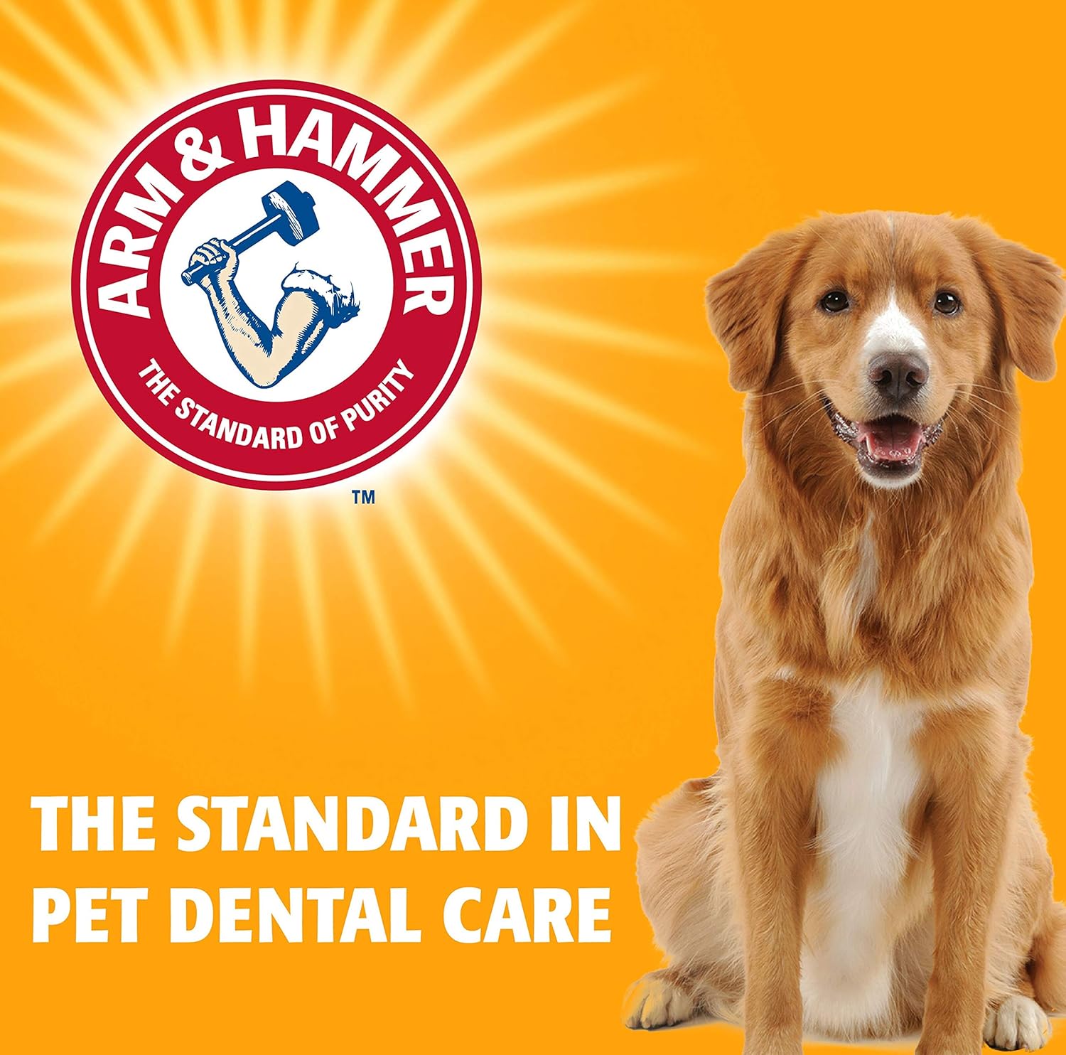 Arm &amp; Hammer Fresh Breath Enzymatic Dog Toothpaste -6
