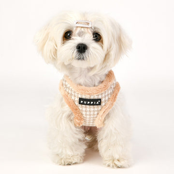 Small white dog wearing a peach-colored knitted sweater with 'Puppia' branding on a white background