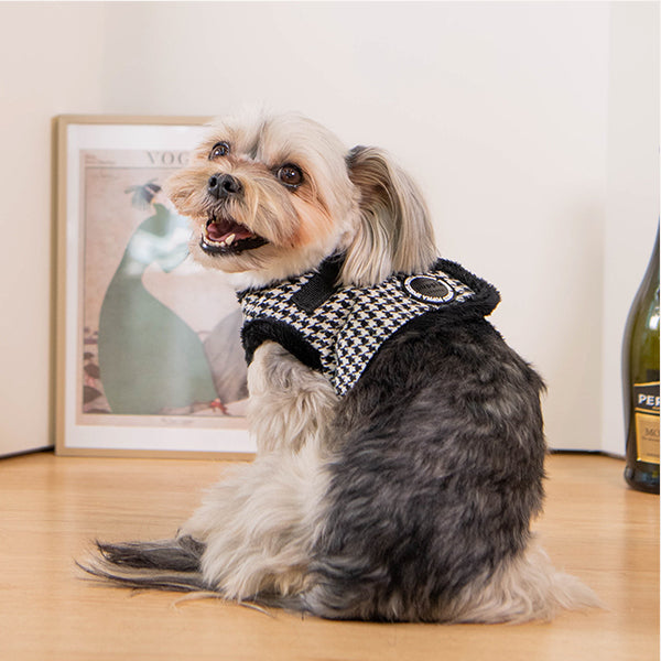 Small dog wearing a black and white checkered puppia harness