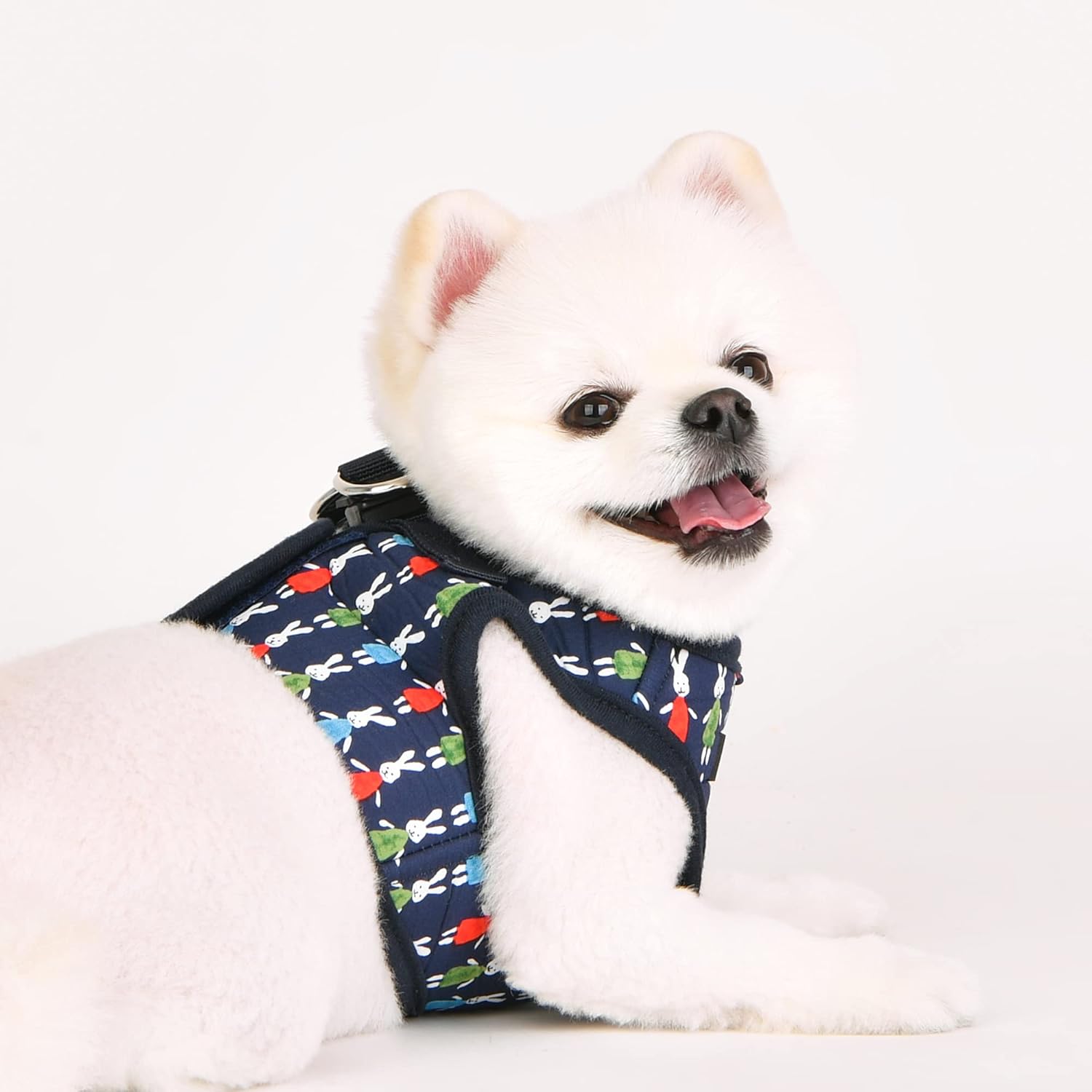 White dog wearing a colorful puppia dog harness