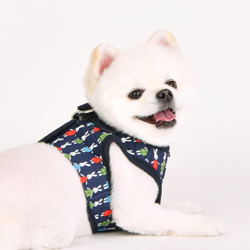 White dog wearing a colorful puppia dog harness