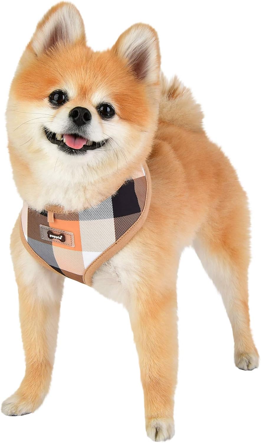 Small dog wearing a checkered puppia dog harness 