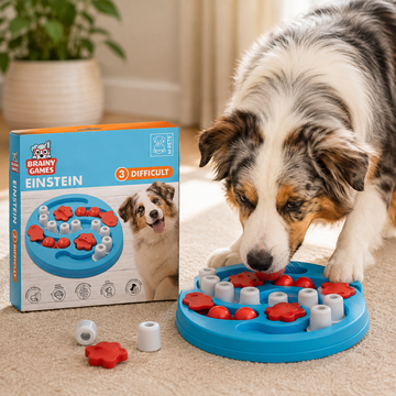 M-PETS Brainy Games Einstein Level 3 – Interactive Dog Puzzle & Treat Toy