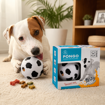 PONGO Interactive Dog Ball – Treat Dispenser & Mental Stimulation Toy