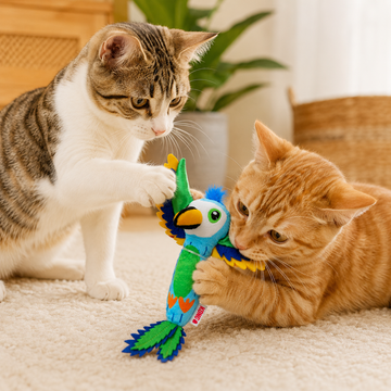 KONG Tropics Catnip Parrot Toy for Cats | Crinkle & Batting Interactive Cat Toy