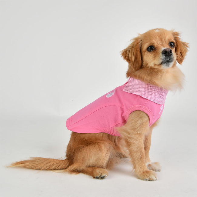 Dog wearing a pink outfit on a white background