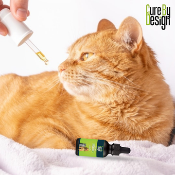 Relief 500mg CBD Oil for Cats & Dogs
