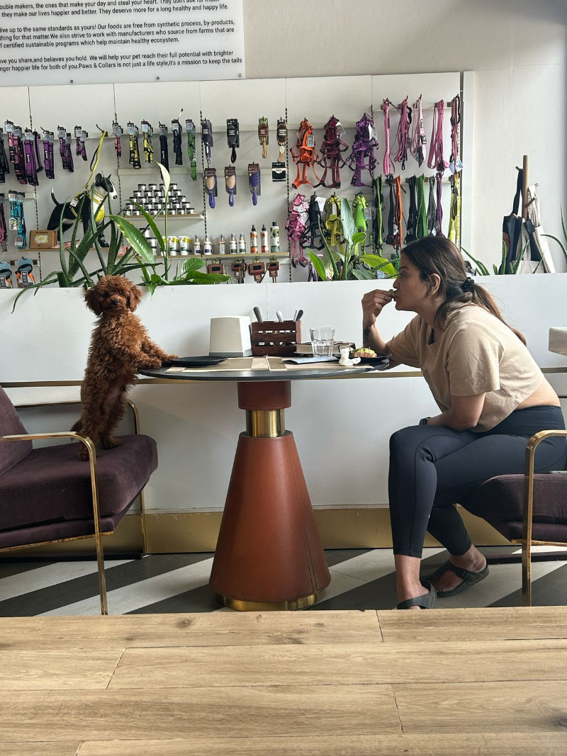 Woman sitting at a table with a dog in a pet store setting