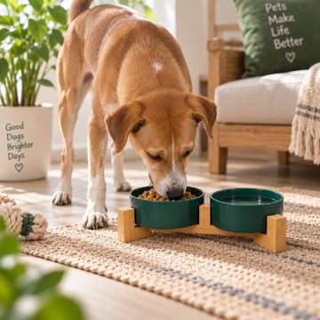 Elevated pet ceramic bowl set with bamboo stand green color