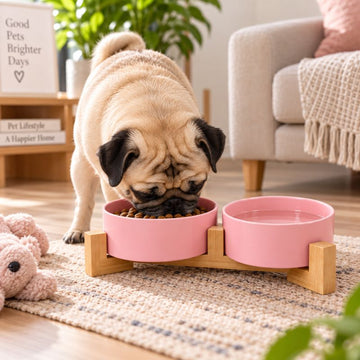 Elevated pet ceramic bowl set with bamboo stand pink color