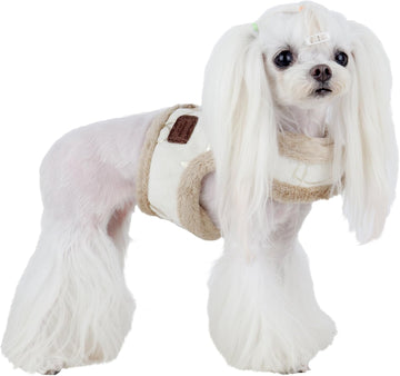 Small white dog wearing a beige outfit with a brown patch on a white background