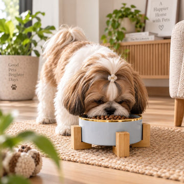 Grey_ceramic_elevated_pet_bowl_set_with_bamboo_stand_for_dogs_and_cat