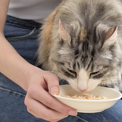 Inaba Chicken Broth With Chicken & Tuna Recipe for Cats-3
