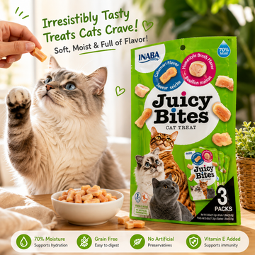 INABA Juicy Bites Cat Treats Calamari & Homestyle Broth Flavor | Soft & Moist Grain-Free Cat Treat | Vitamin E | No Artificial Preservatives | 3 x 11.3g (33.9g)