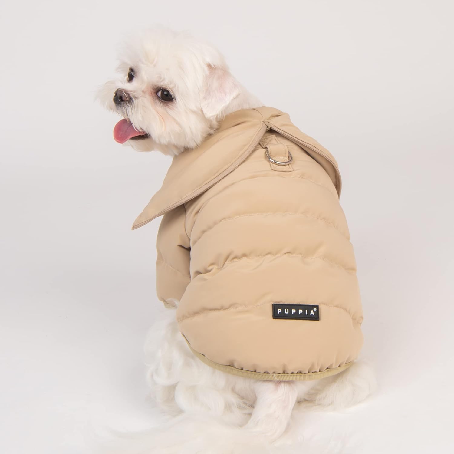 Small dog wearing a brown puffer coat an all weather puppia dog coat