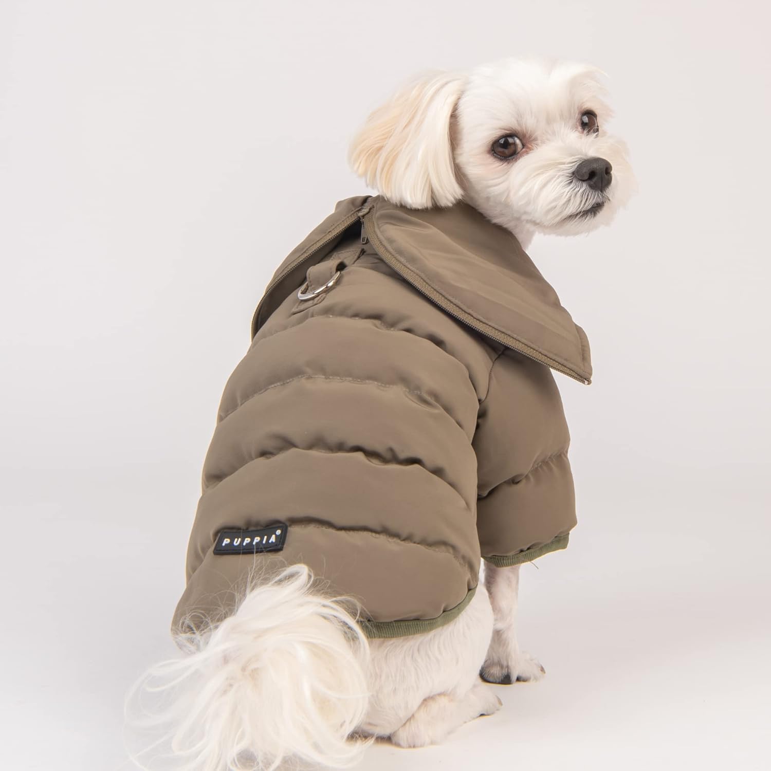 Small dog wearing a brown puffer coat an all weather puppia dog coat