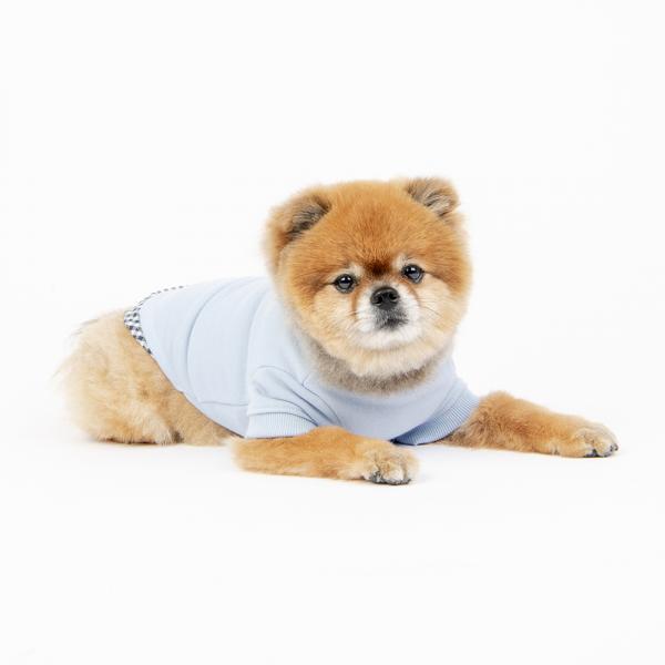 Small dog wearing a Light blue dog layered t-shirt