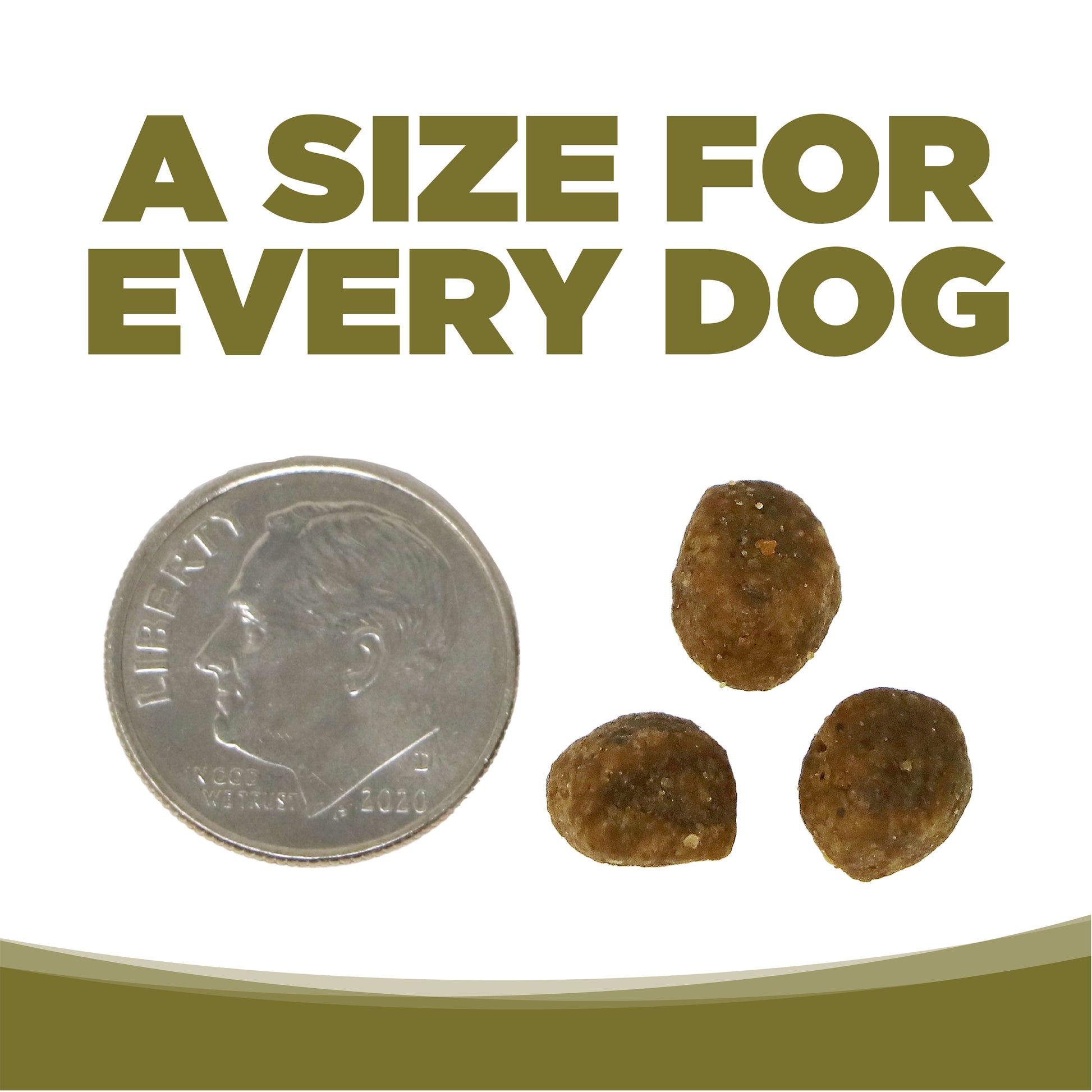 Chicken & Pea Small Bites Grain Free Dry Food For Dogs