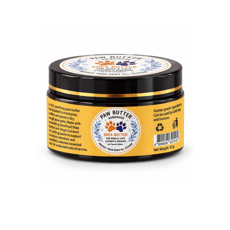 PawsnCollars paw butter for dogs single 50g box
