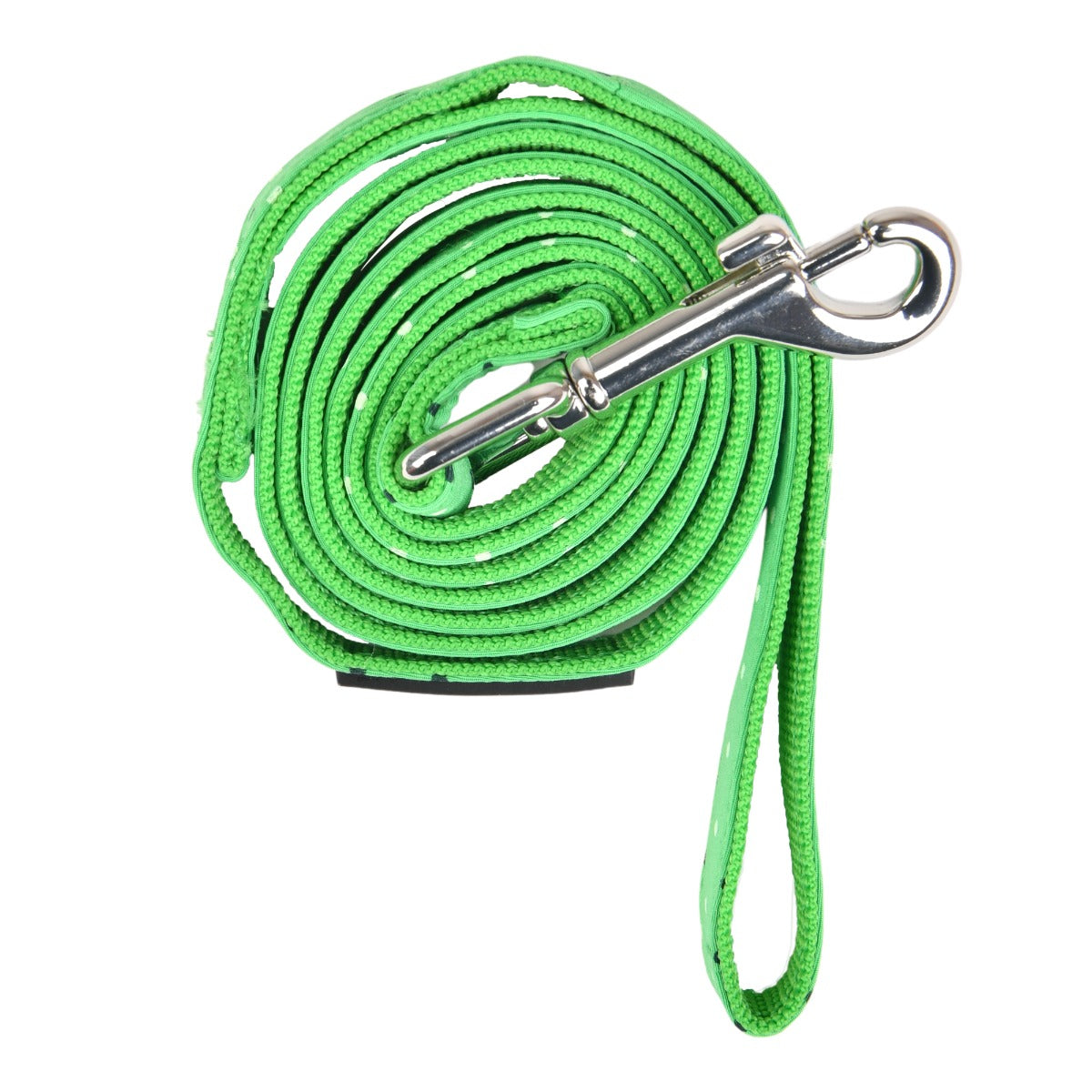 Green dog leash with metal clip on a white background