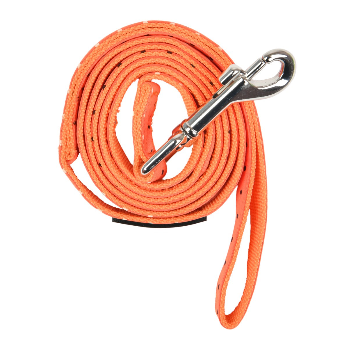 Orange dog leash with a metal clip on a white background