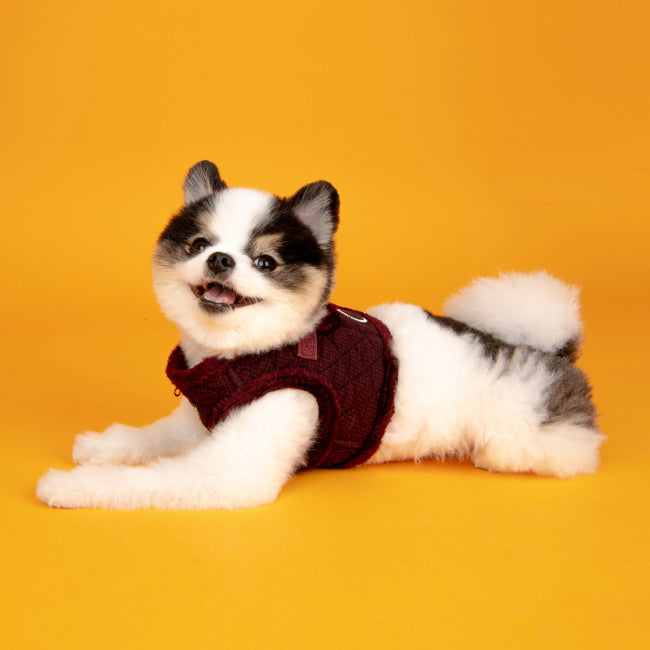  Puppia Dog vest harness