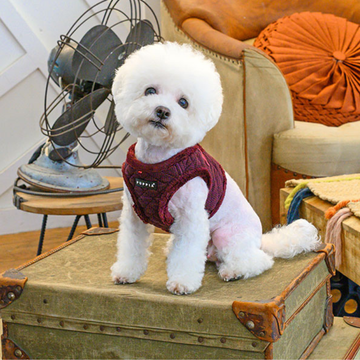 Small white dog wearing a wine vest harness