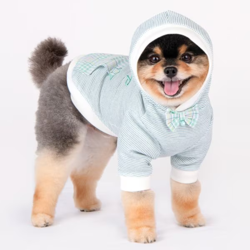 Dog wearing a light blue and white striped hoodie puppia hoodie t-shirt