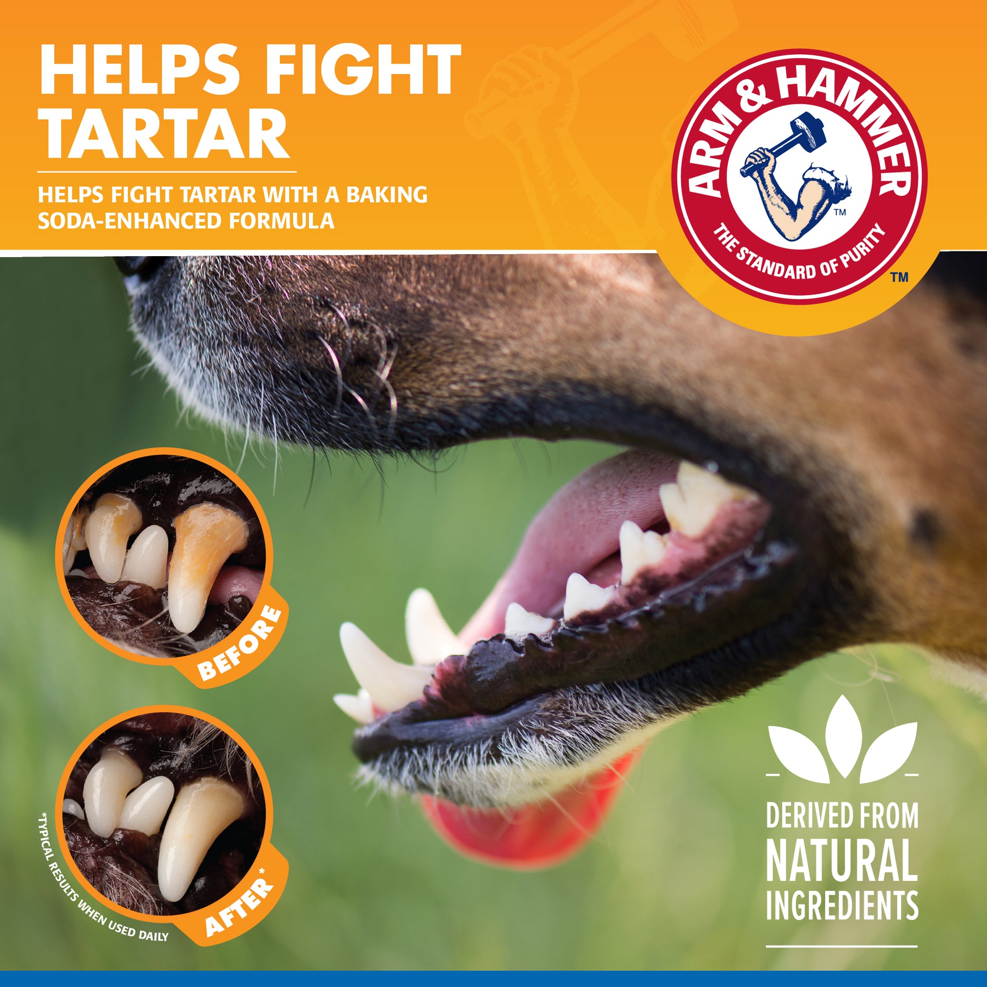 Arm & Hammer Fresh Breath Chicken Flavored Enzymatic Dog Toothpaste-2.5 oz4