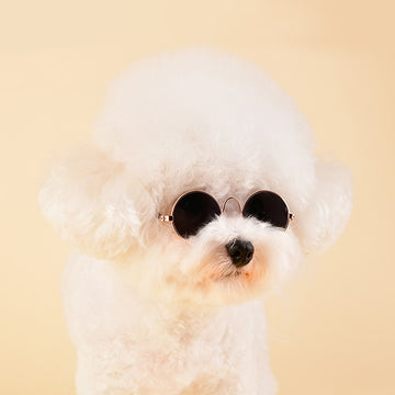 Olchi Douglas Sunglasses For Dogs & Cats