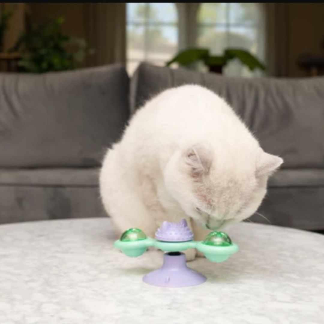 NALA Suction Spinner Cat Toy