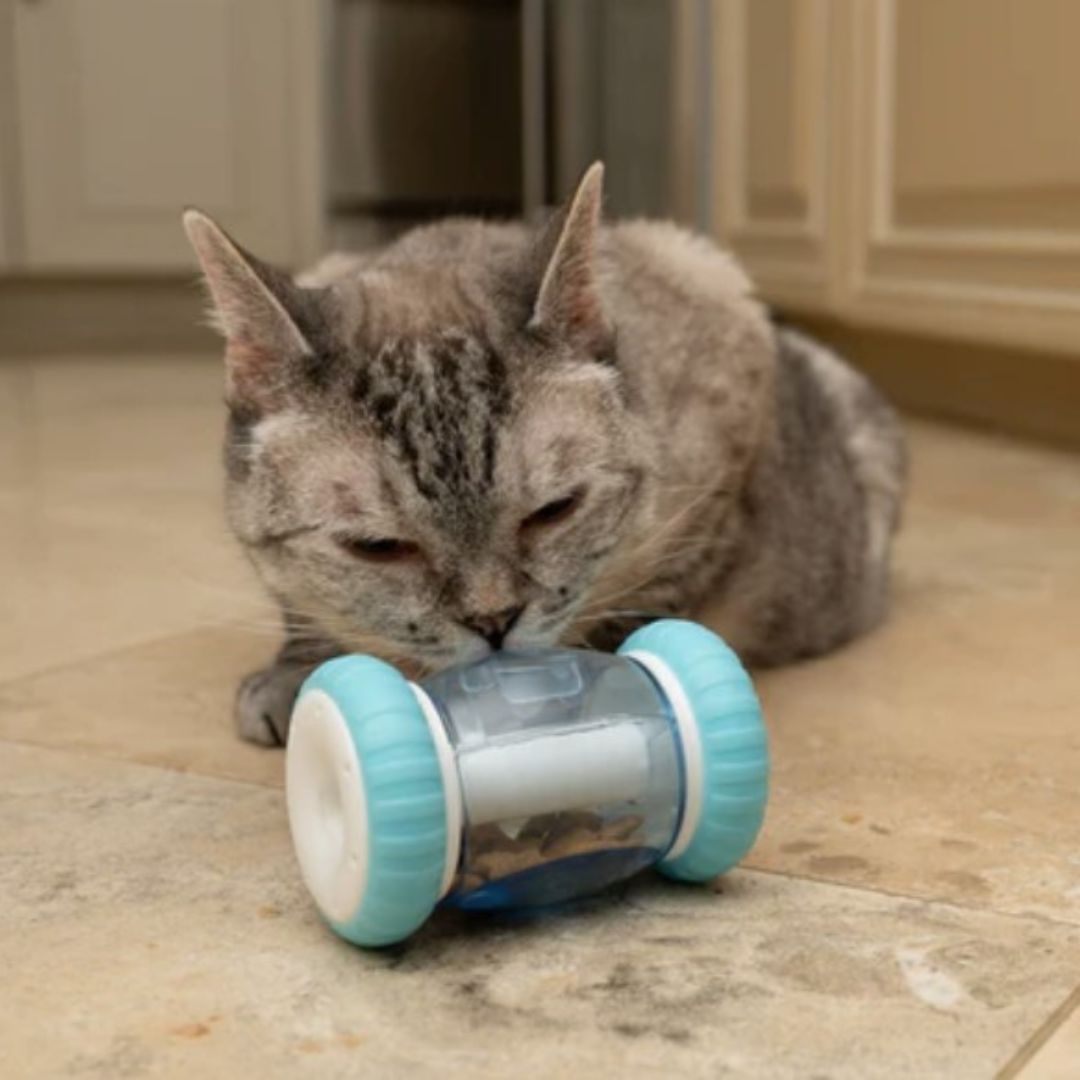 NALA Wheelie Drum Cat Toy