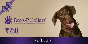 A Gift For You Gift Card PawsnCollars 