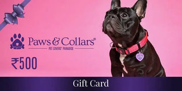 A Gift For You Gift Card PawsnCollars 