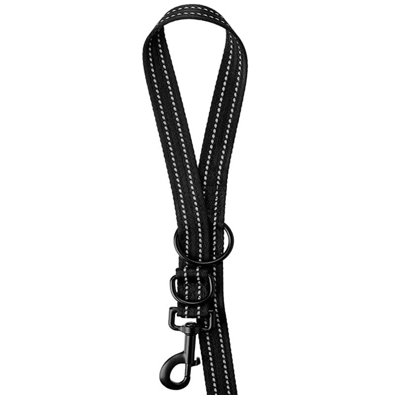 Adventure Alcott Adjustable Leash for dogs available with Black and Blue Vibrant Nylon Colors.