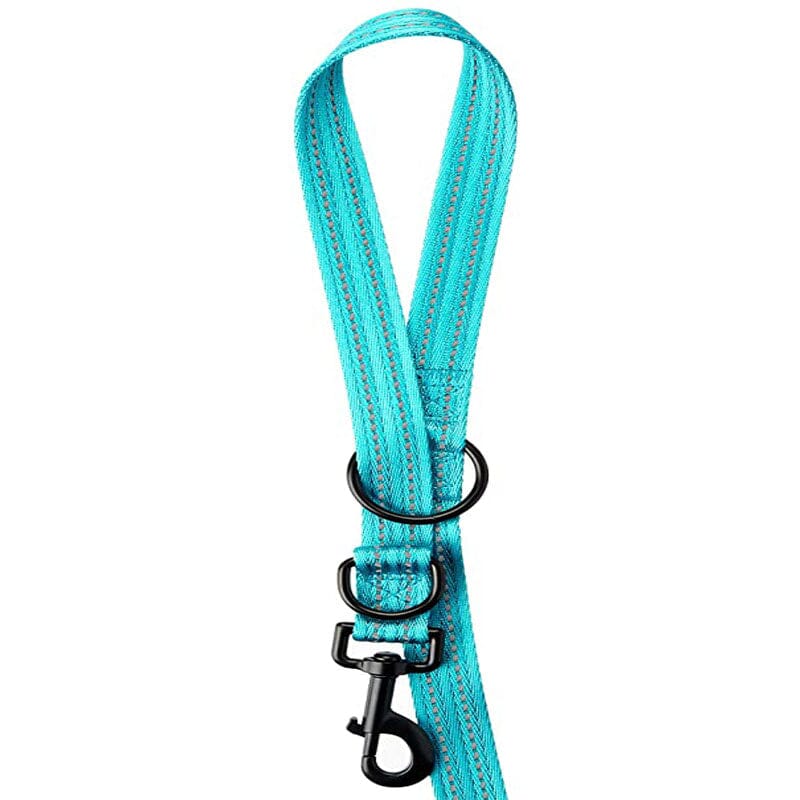 Adventure Alcott Adjustable Leash for dogs with Reflective Accents on both sides