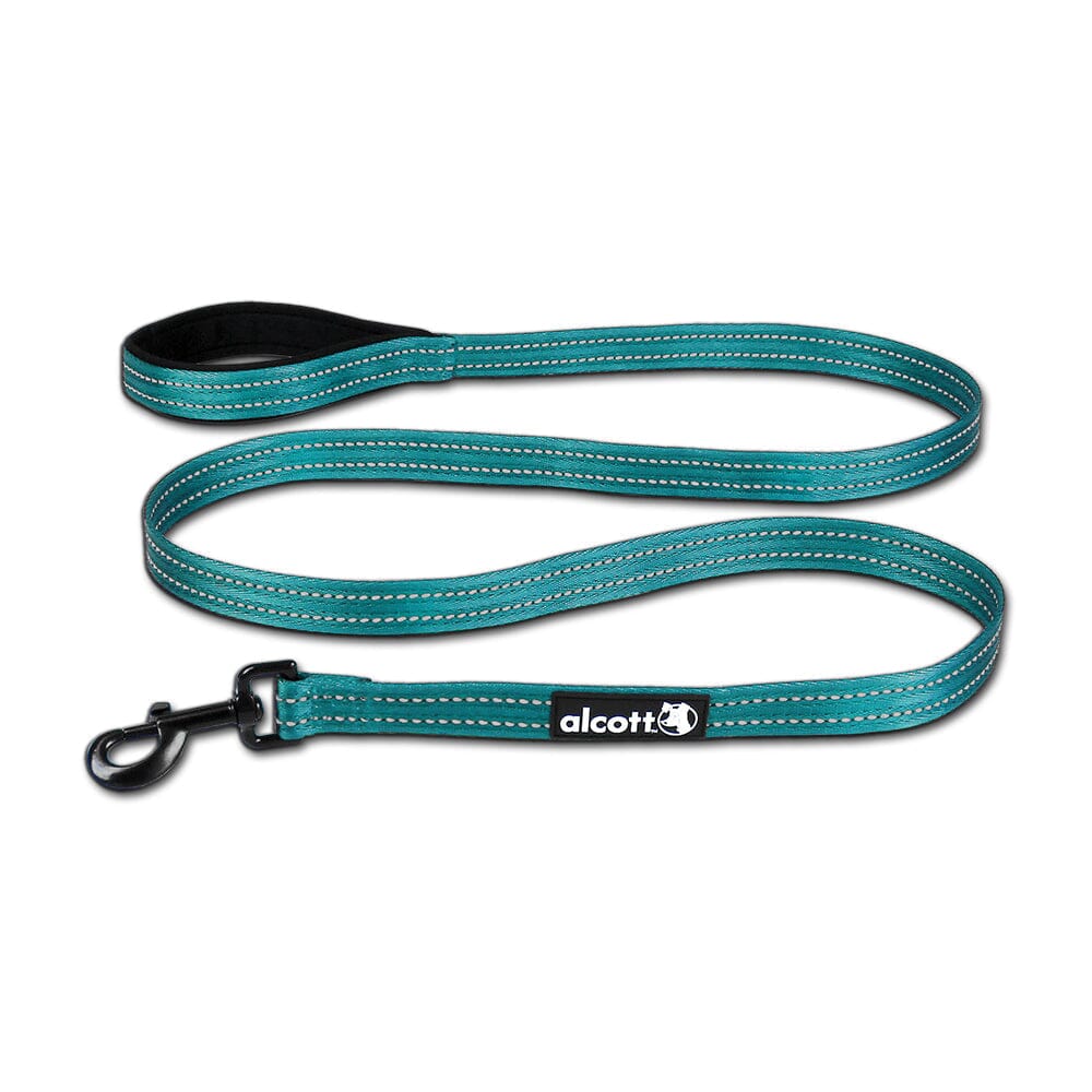 Adventure 6ft Leash with Reflective Stitching Pet Supplies Alcott Large Blue 