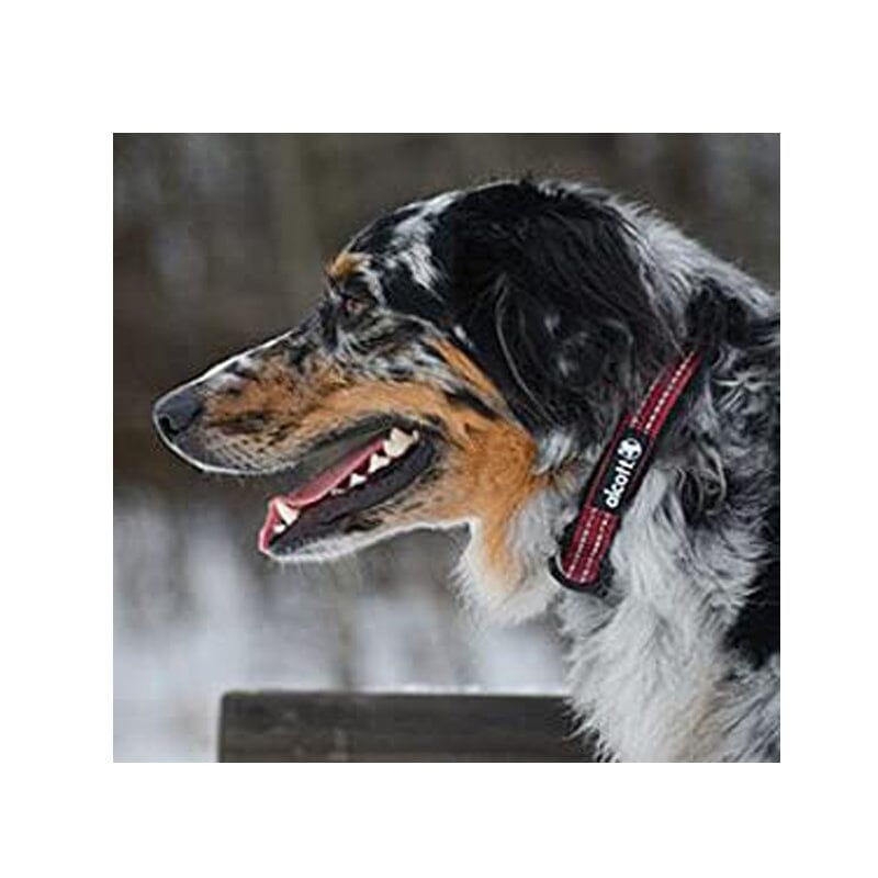 Red Alcott Adventure Dog Collar With Reflective Stitching & Neoprene Padding available in Small, Medium & Large Sizes.