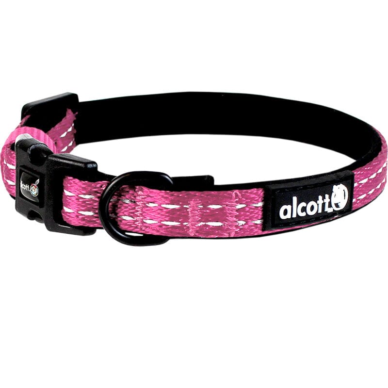 Adventure Dog Collar With Reflective Stitching Neoprene Padding
