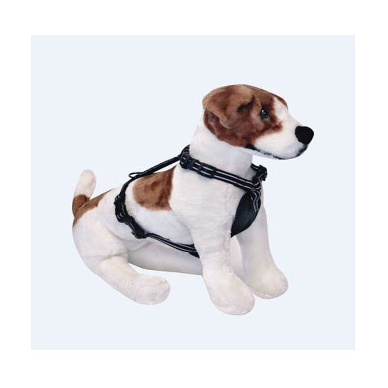 Alcott Adventure Dog Harness can be Easily Adjustable.