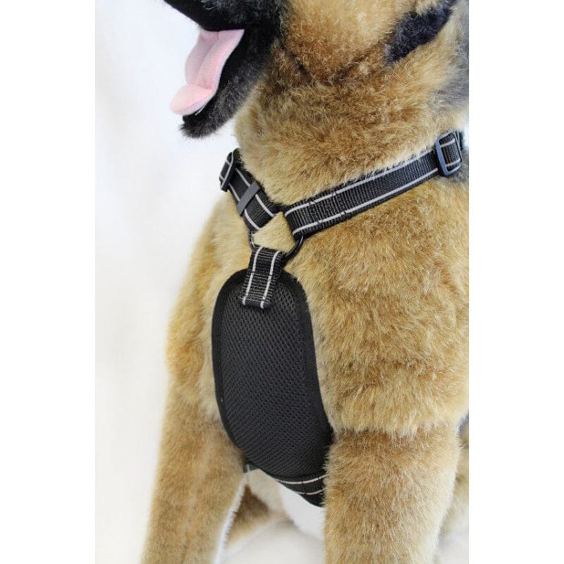 Alcott Adventure Dog Harness with Easy on/off design with 3 buckles.