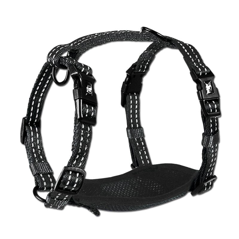 Adventure Dog Harness with Reflective Stitching Mesh Padding