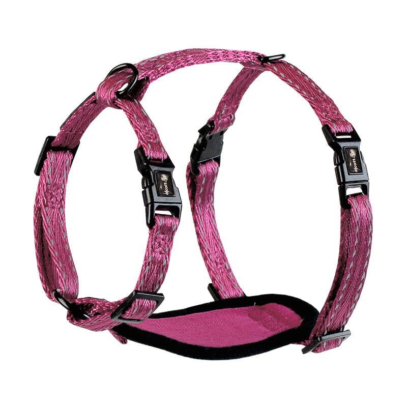 Alcott Adventure Dog Harness has two metal d-rings to allow for proper use with any leash.