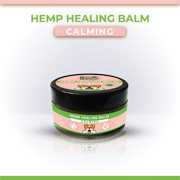 Relieve your pooch from anxiety, skin conditions, watch pet glow with good health using Cure By Design Hemp Healing Balm.
