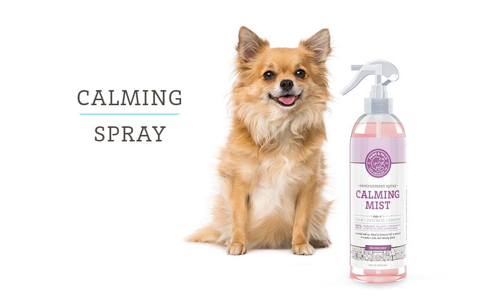 Paws & Pals Calming Mist Spray is great for both dogs and cats.