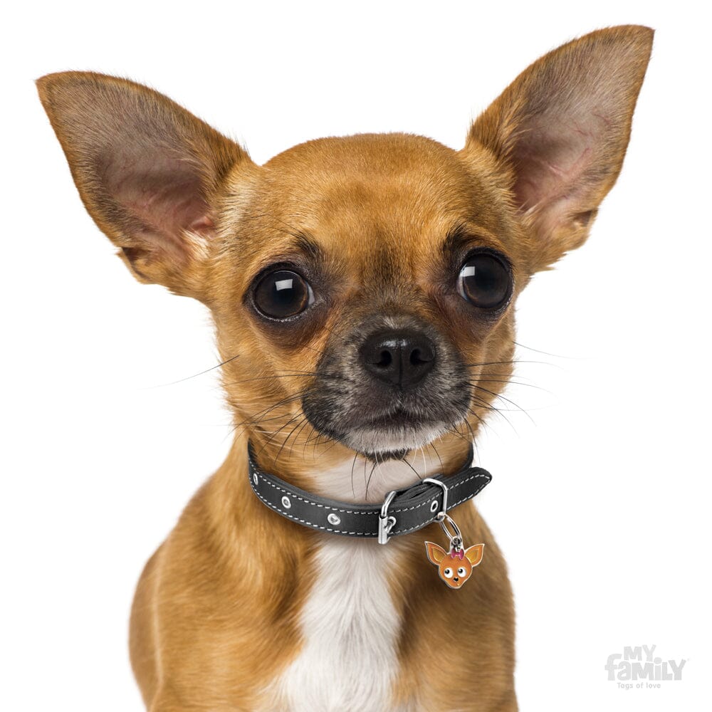 Chihuahua dog hot sale tags