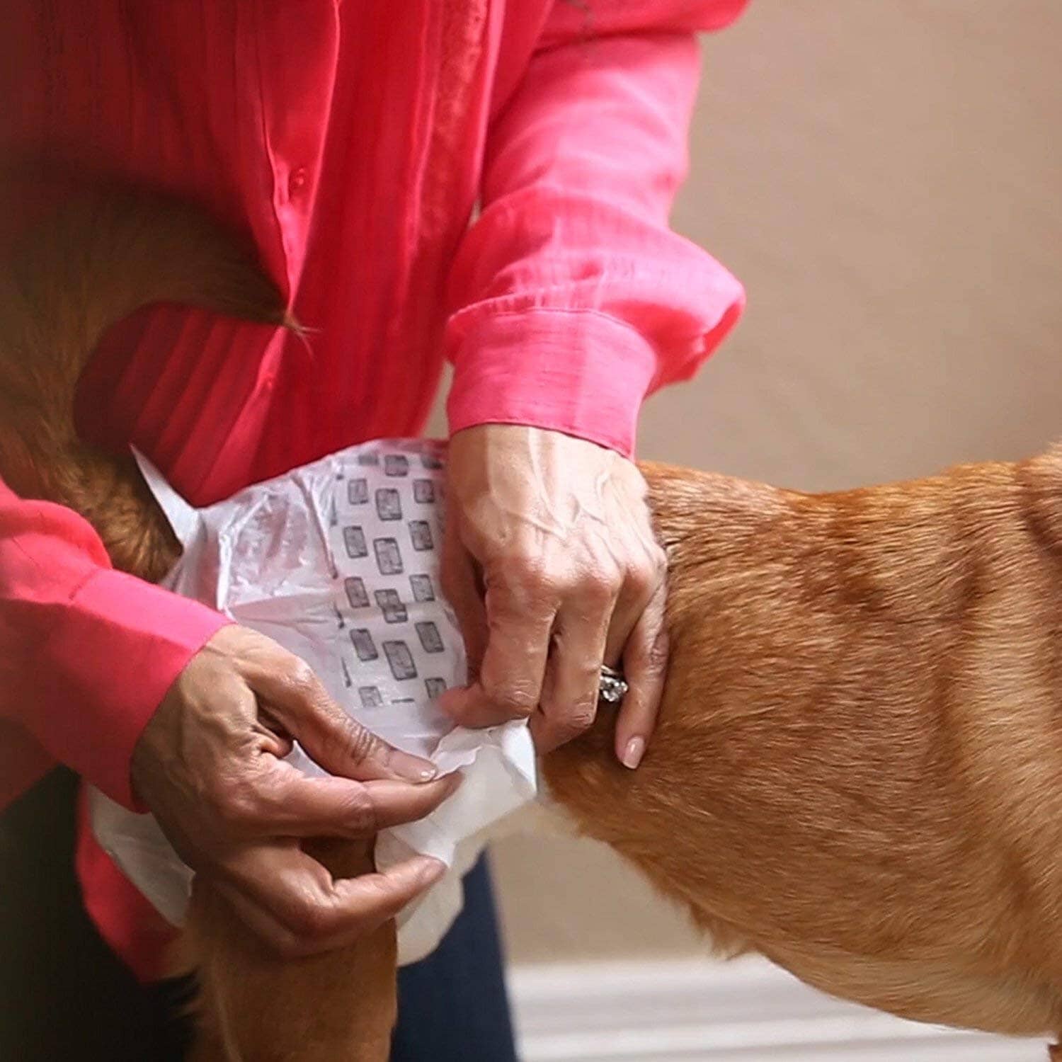 Disposable Diapers For Dogs