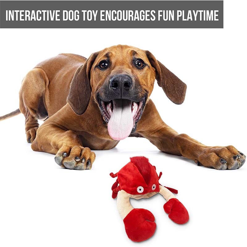 Battery operated Hyper Pet Doggie Pal-Crab Toy Perfect for fun playtime for large and small dogs of all life stages of life.