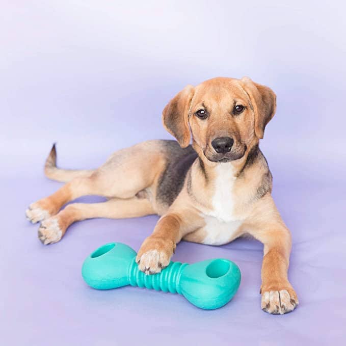 Dumbbell Chew Dog Toy Animals & Pet Supplies ZippyPaws 